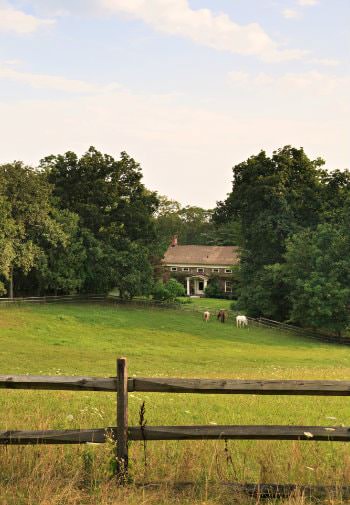 Exterior view of the front lawn with three horses surrounded by a split rail fence and green trees