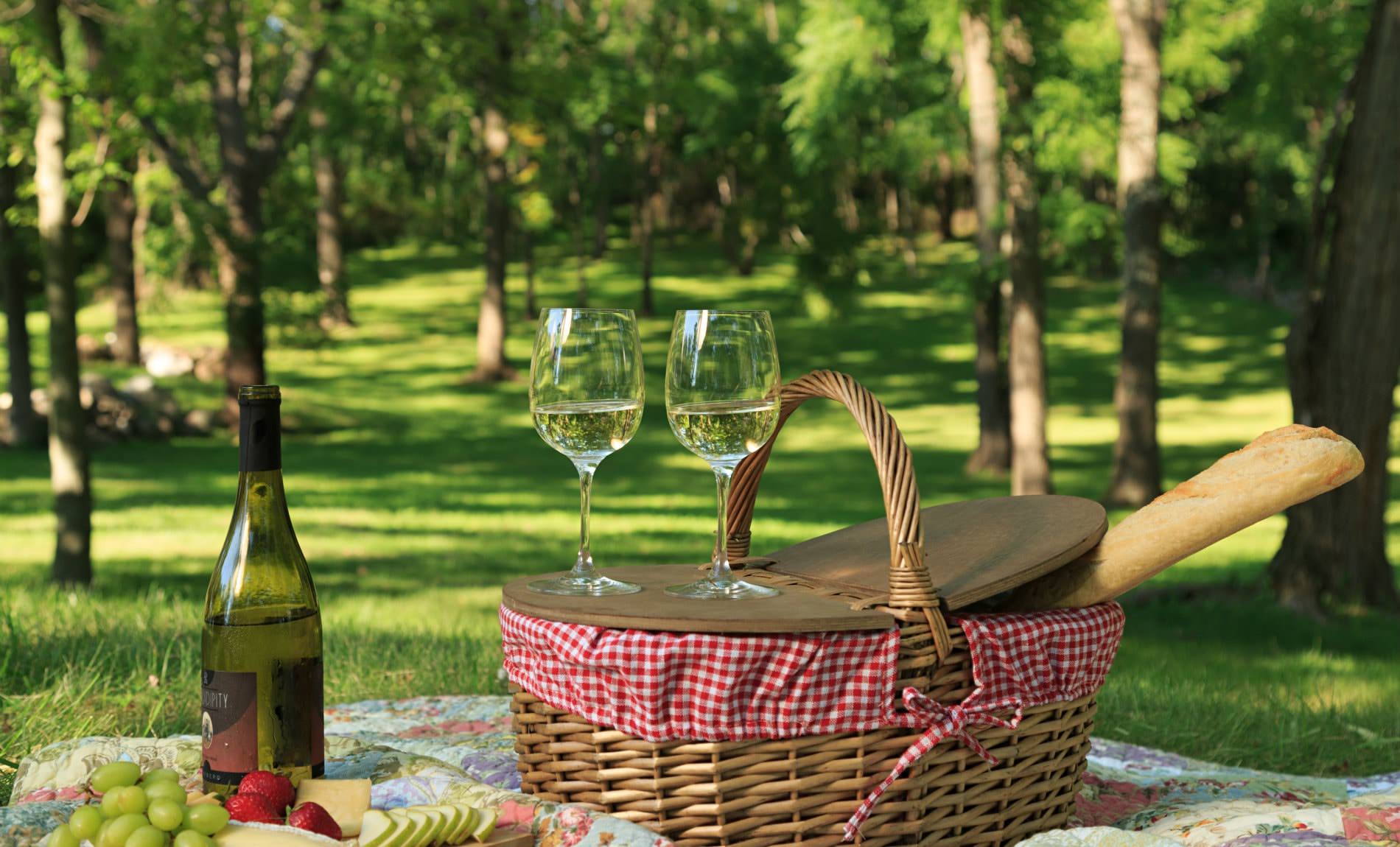 Picnic basket on a quilt with fresh fruit, cheese and wine surrounded by green grass and trees